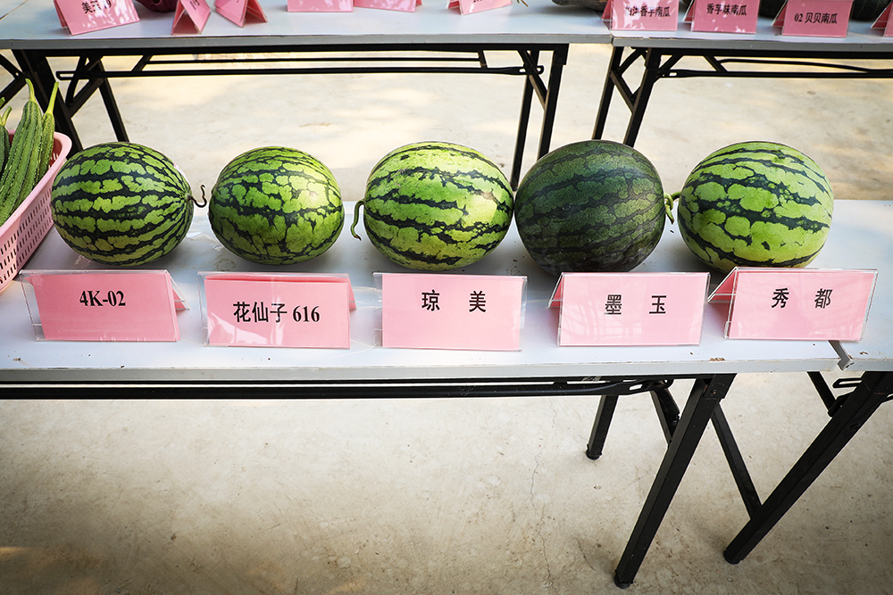 独家吃瓜黑料，真相大揭秘！娱乐圈的那些隐秘故事