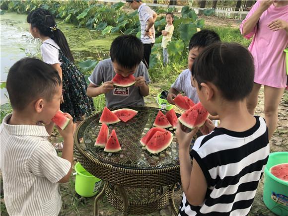 黑料不打烊，万里长征吃瓜爆料网址