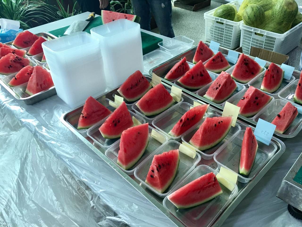 黑料吃瓜网：揭秘娱乐圈背后的那些不为人知的秘密